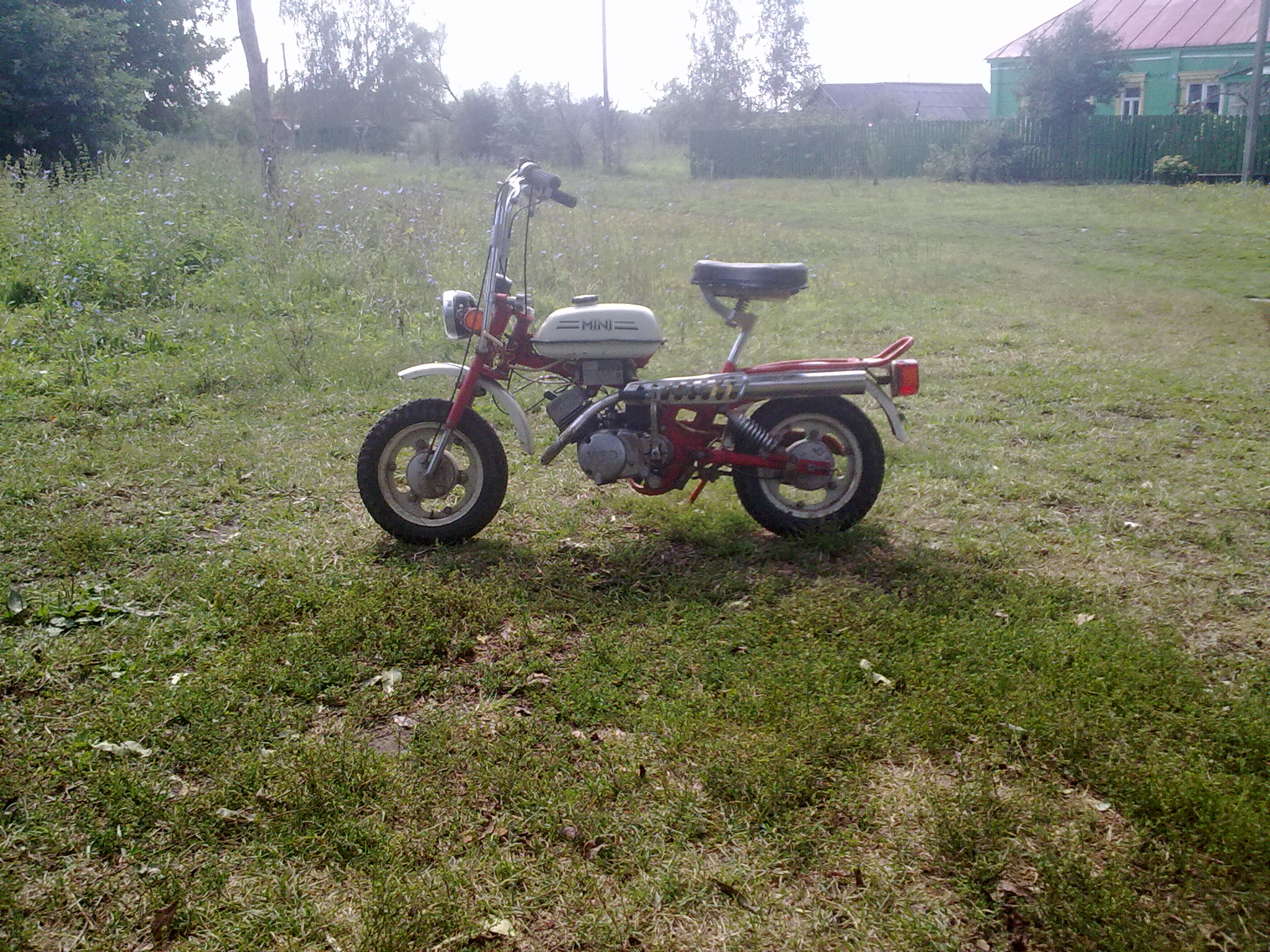 Опубликованное фото