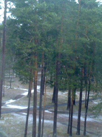 Опубликованное фото